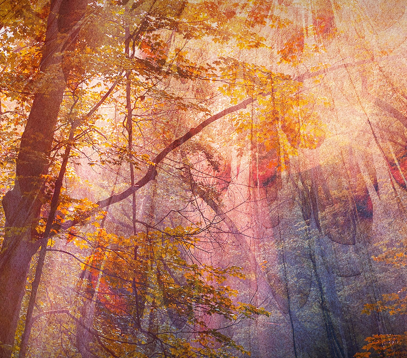 mystical-experiences.webp
